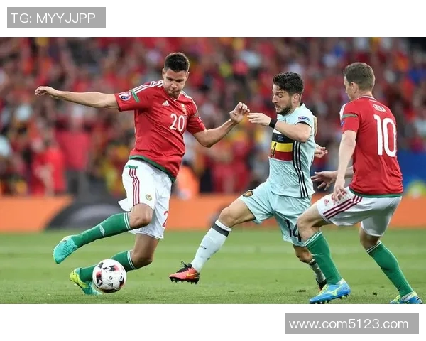 德国与北爱尔兰激战在即球迷期待精彩对决与历史交锋